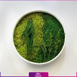 خرید + قیمت و عکس دیوار سبز خزه ای (ماس وال طبیعی تثبیت شده)