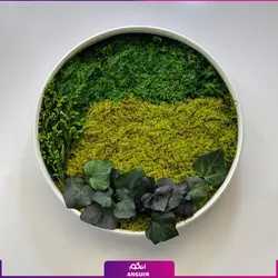 خرید + قیمت و عکس دیوار سبز خزه ای (ماس وال طبیعی تثبیت شده)