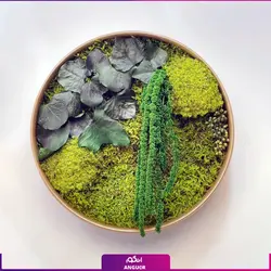 خرید + قیمت و عکس دیوار سبز خزه ای (ماس وال طبیعی تثبیت شده)