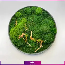 خرید + قیمت و عکس دیوار سبز خزه ای (ماس وال طبیعی تثبیت شده)