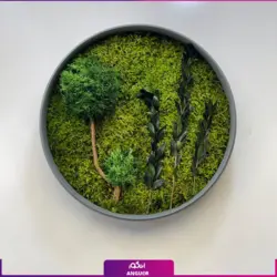 خرید + قیمت و عکس دیوار سبز خزه ای (ماس وال طبیعی تثبیت شده)