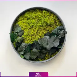 خرید + قیمت و عکس دیوار سبز خزه ای (ماس وال طبیعی تثبیت شده)