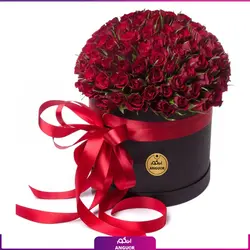 خرید آنلاین باکس گل رز مینیاتوری 101 شاخه | گل فروشی آنلاین انگور