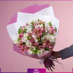 خرید آنلاین دسته گل آلسترومریا سفید و صورتی 13 شاخه