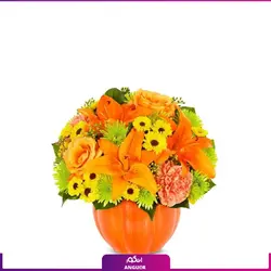 خرید آنلاین گل‌آرایی کدو برای جشن هالووین | مرکز گل و گیاه انگور