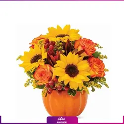 خرید آنلاین گل‌آرایی کدو با آفتابگردان برای هالووین | مرکز گل و گیاه انگور