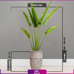 گلدان طرح مصری با نخل مسافر | انگور