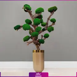 خرید آنلاین گلدان هدیه فایبرگلاس طلایی با درخت جاویدان | مرکز گل و گیاه انگور
