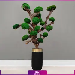 خرید آنلاین گلدان هدیه فایبرگلاس با درخت جاویدان | مرکز گل و گیاه انگور