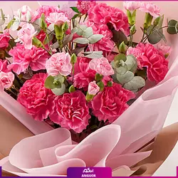 سفارش آنلاین دسته گل میخک به همراه کیک | انگور