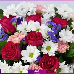 سفارش آنلاین دسته گل رز و داوودی به همراه کیک ردولوت | انگور