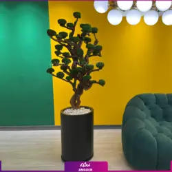 خرید آنلاین گلدان طرح چهره با درخت جاویدان | مرکز گل و گیاه انگور