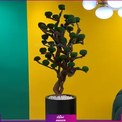 خرید آنلاین گلدان طرح چهره با درخت جاویدان | مرکز گل و گیاه انگور