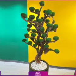 خرید آنلاین گلدان طرح چهره با درخت جاویدان | مرکز گل و گیاه انگور