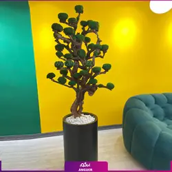 خرید آنلاین گلدان طرح چهره با درخت جاویدان | مرکز گل و گیاه انگور