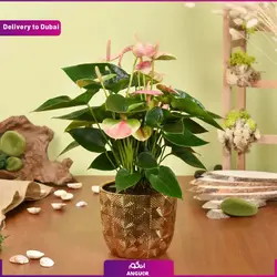 باکس گل + شکلات و عروسک (تحویل امارات) | انگور