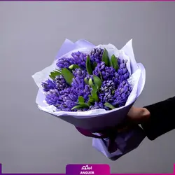 خرید آنلاین دسته گل سنبل بنفش 21 عددی | گل و گیاه انگور