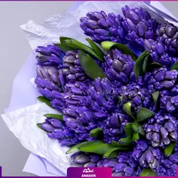 خرید آنلاین دسته گل سنبل بنفش 21 عددی | گل و گیاه انگور