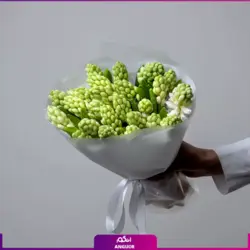 خرید آنلاین دسته گل غنچه سنبل | گل و گیاه انگور