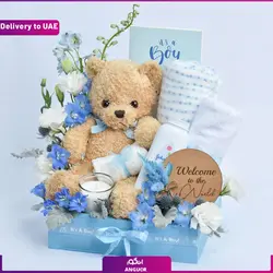 باکس نوزاد پسرانه (تحویل دبی و امارات) | انگور