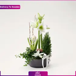 Gourmet Package(Delivery in Sweden) | انگور