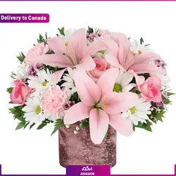 کیک تولد 7 نفره به همراه بادکنک (ارسال کیک و شیرینی به کانادا ) | انگور