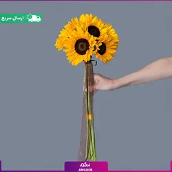 دسته گل 10 شاخه آفتابگردان | انگور