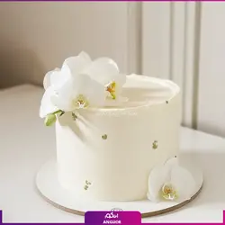 کیک شکلاتی ساده