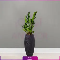 گلدان فایبرگلاس طرح River floor با زاموفیلیا سبز