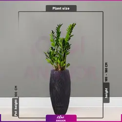 گلدان فایبرگلاس طرح River floor با زاموفیلیا سبز