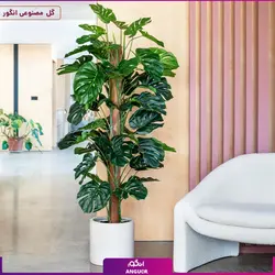 گیاه مصنوعی برگ‌ انجیری - وارداتی (مونسترا) | انگور