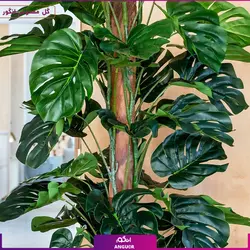 گیاه مصنوعی برگ‌ انجیری - وارداتی (مونسترا) | انگور