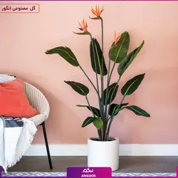 گیاه مصنوعی پرنده بهشتی گلدار (استرلیتزیا) | انگور