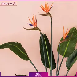 گیاه مصنوعی پرنده بهشتی گلدار (استرلیتزیا) | انگور