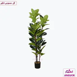 گلدان مصنوعی فیکوس الاستیکا 3 شاخه
