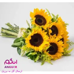 دسته گل آفتابگردان (ارسال گل به برزیل)
