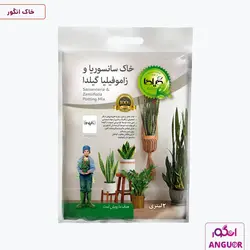 خاک سانسوریا و زاموفیلیا گیلدا حجم 2 لیتر | Gilda