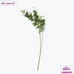 تگ شاخه مصنوعی ( اکالیپتوس )