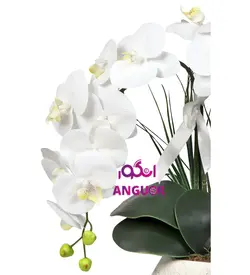 گلدان مصنوعی وارداتی ارکیده سفید2 شاخه (40 تا 50 سانتی)