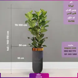 لیراتا با گلدان فایبرگلاس  با روکش مخملی