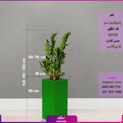 گلدان لوکس مستطیل فایبرگلاس همراه با زاموفیلیا سبز (120 تا 140 سانتی)
