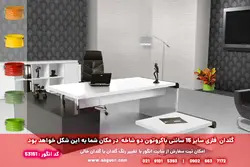 گل  کروتون با گلدان لاین