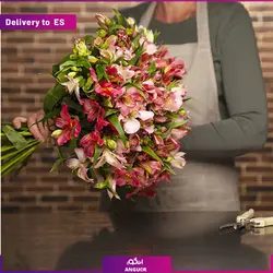 دسته گل آلسترومریا(ارسال گل به اسپانیا) | انگور