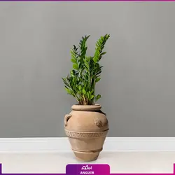 گلدان یونانی با زاموفیلیا سبز (130 تا 150 سانتی)