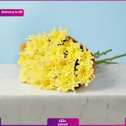 گیاه گلدان رز سفید(ارسال گل به انگلستان) | انگور