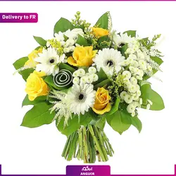 درخت کریسمس(ارسال گل به فرانسه) | انگور