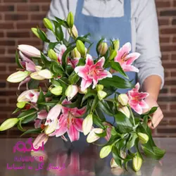 دسته گل لیلیوم معطر (ارسال دسته گل به اسپانیا) | انگور