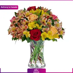 ست هدیه مردانه کیت ریش و هدایای مراقبت از بدن (ارسال هدیه به کانادا) | انگور