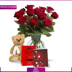 دسته گل رز قرمز + عروسک و شکلات (ارسال گل به کانادا ) | انگور