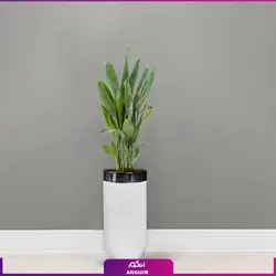 گلدان هدیه لوکس برگ عبایی فایبر گلاس(120-140سانتی متری)